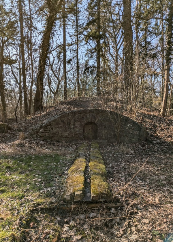 im Bad Nauheimer Wald